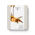 Coffret Éclat Intemporel — Dr. Hauschka