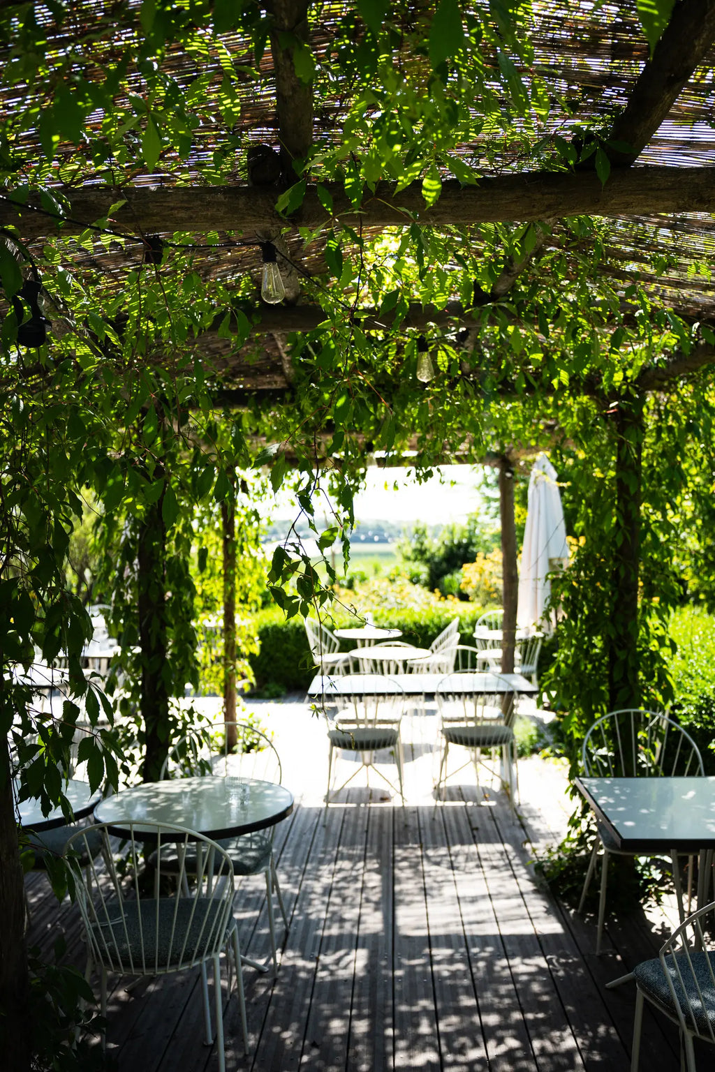 Brunch & Détente au Spa / 1 Personne