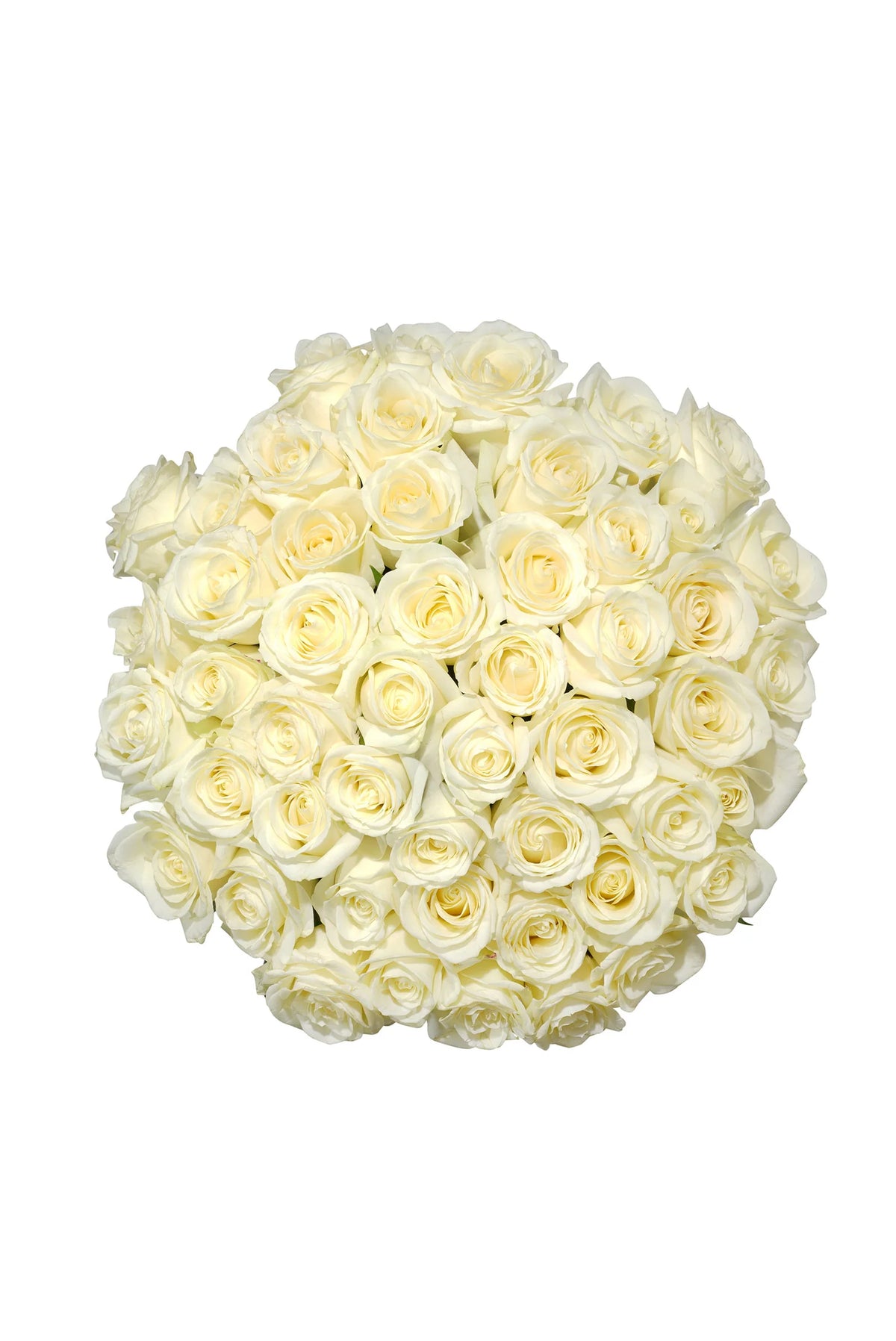Bouquet de Roses blanches