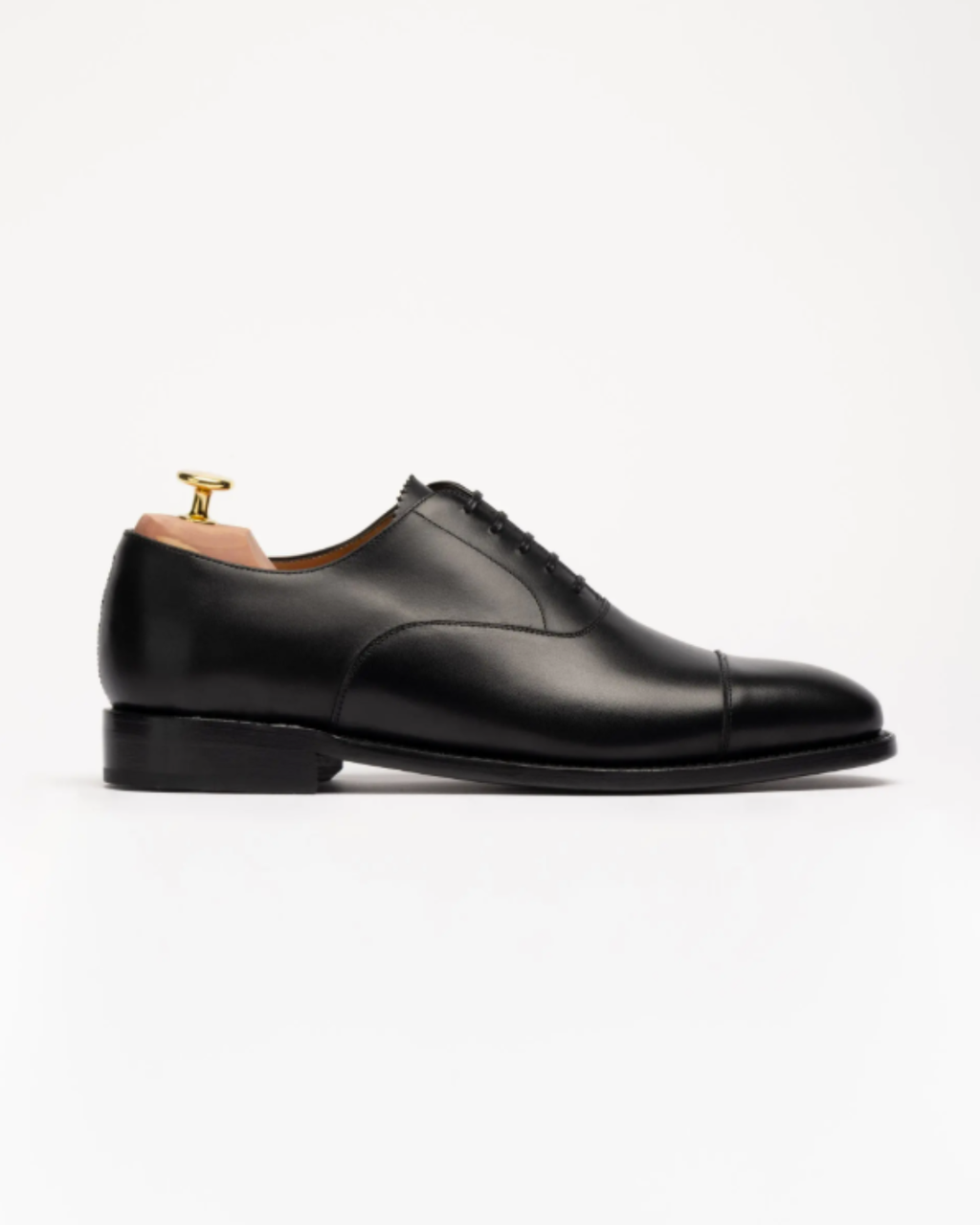 The Oxford | MORJAS