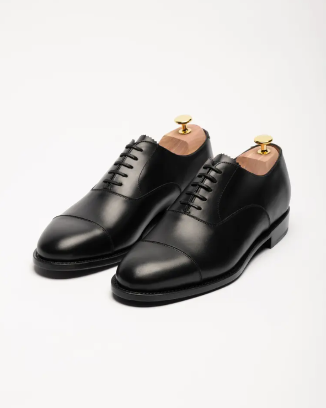 The Oxford | MORJAS